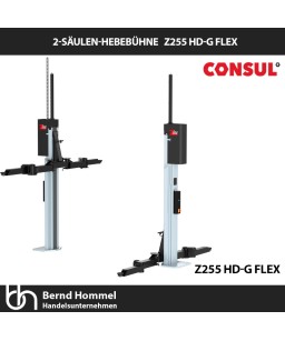 5,5 To. 2 Säulen Hebebühne HD FLEX Z255 G von Consul